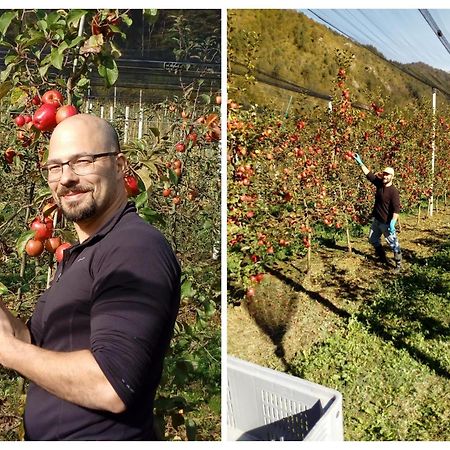 Agriturismo Pian dei Tass Barcis Bagian luar foto