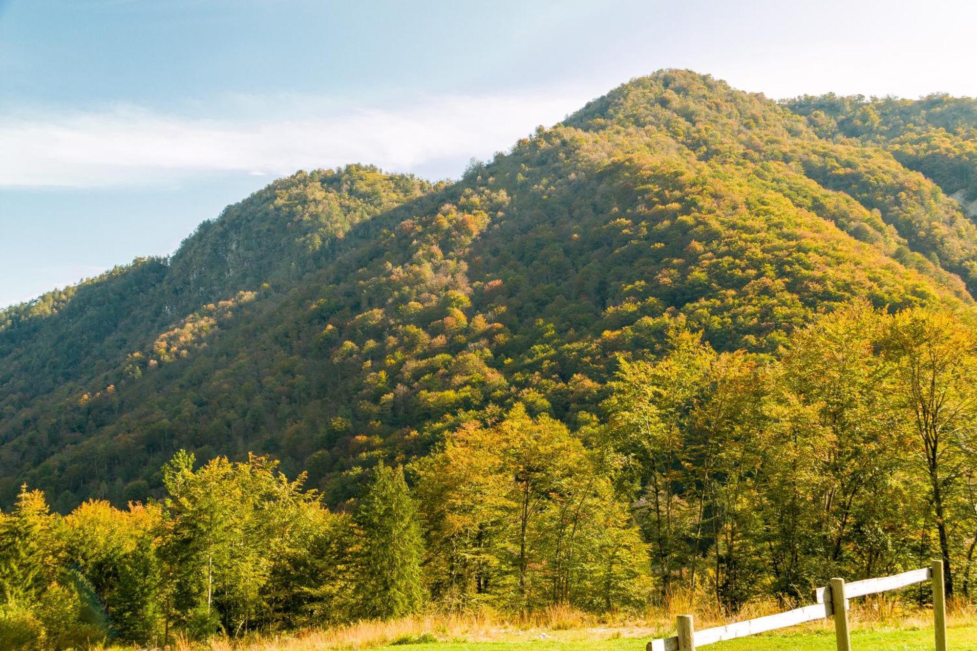 Agriturismo Pian dei Tass Barcis Bagian luar foto
