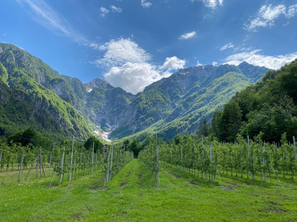 Agriturismo Pian dei Tass Barcis Bagian luar foto