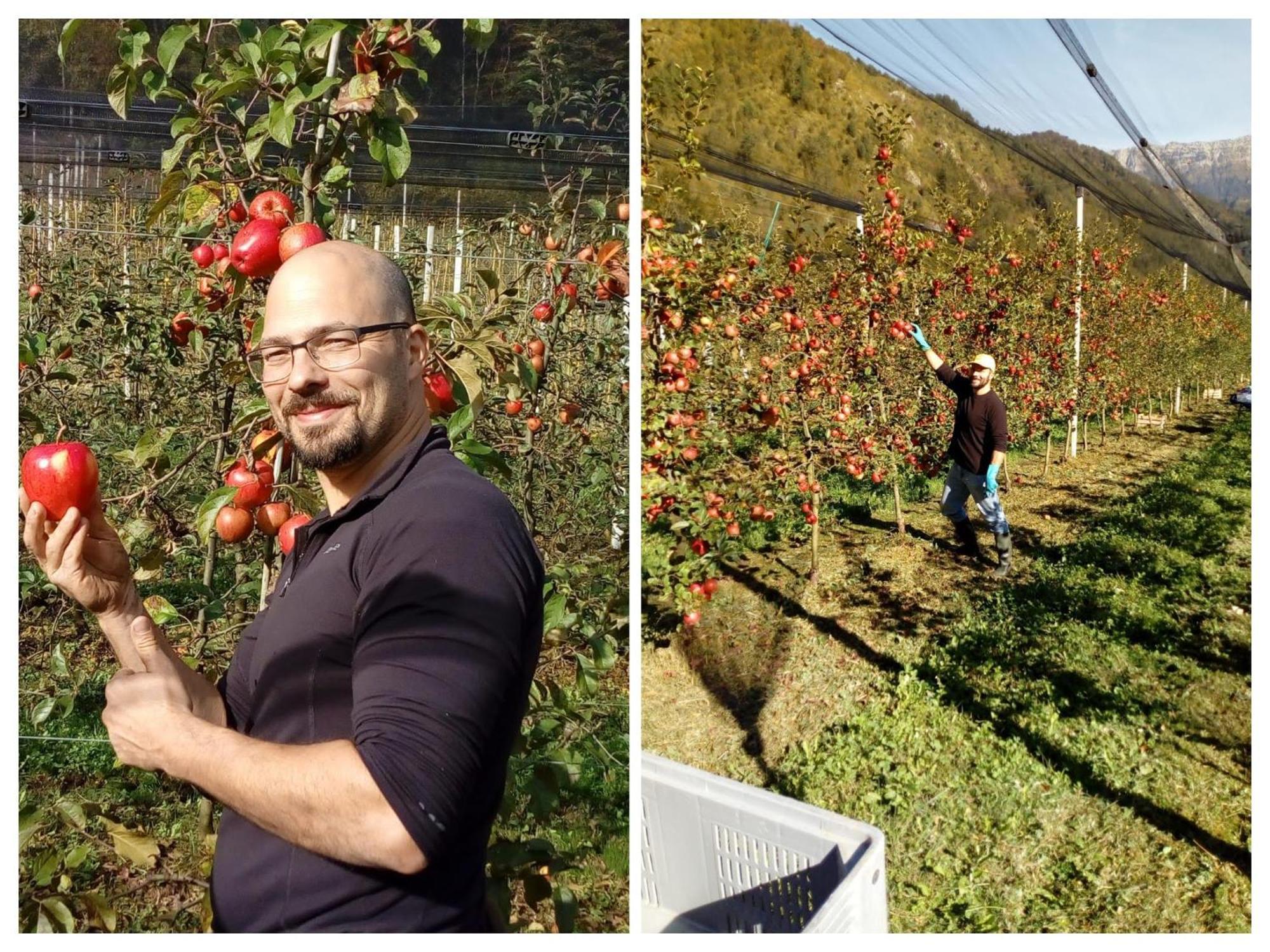 Agriturismo Pian dei Tass Barcis Bagian luar foto
