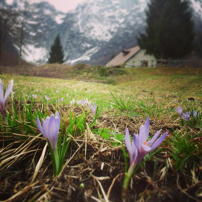 Agriturismo Pian dei Tass Barcis Bagian luar foto