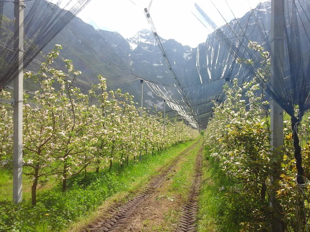 Agriturismo Pian dei Tass Barcis Bagian luar foto